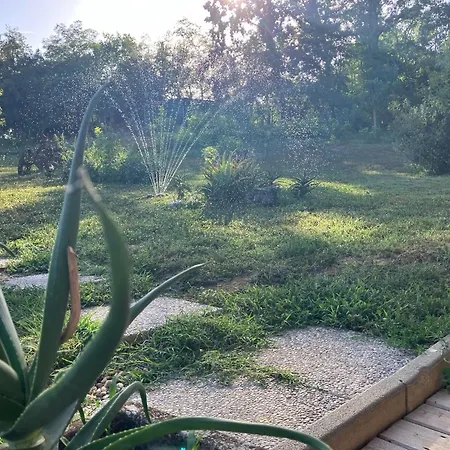 Ai Margini Del Bosco Θέρετρο *