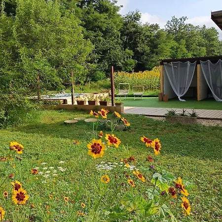 Ai Margini Del Bosco Masio